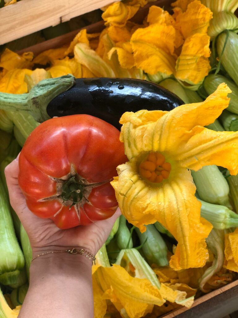 ratatouille courgette tomate aubergine