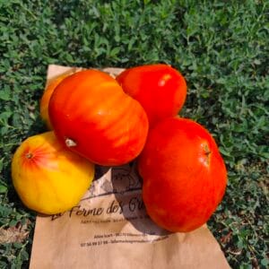 Tomates BIO